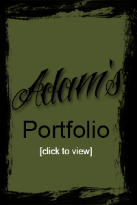 Adam's Portfolio
